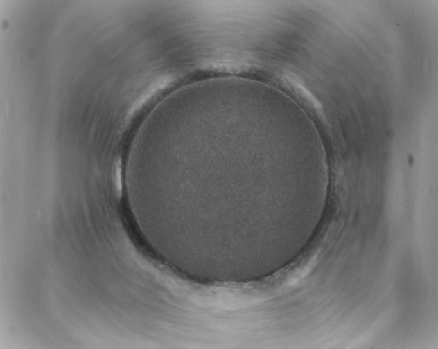 X0000088430020200705221258