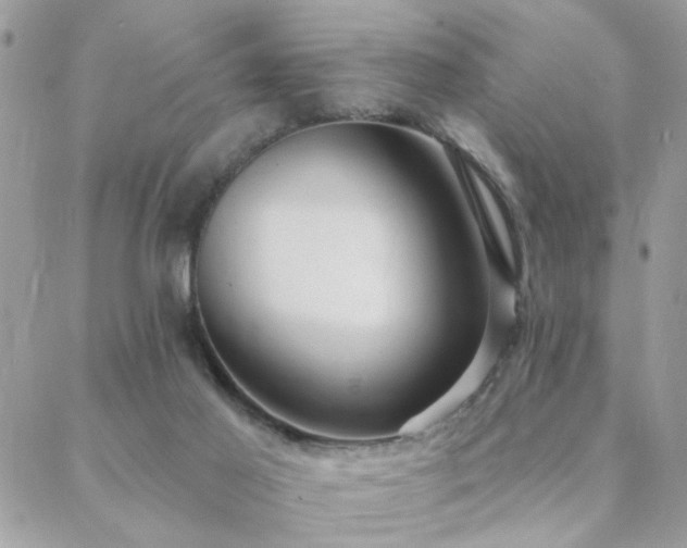 X0000088430021200705221258