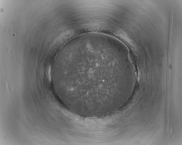 X0000088430022200705221258