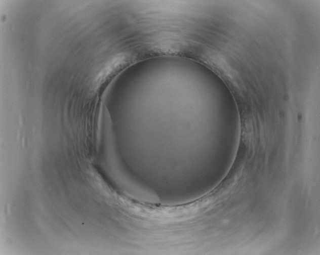 X0000088430023200705221258