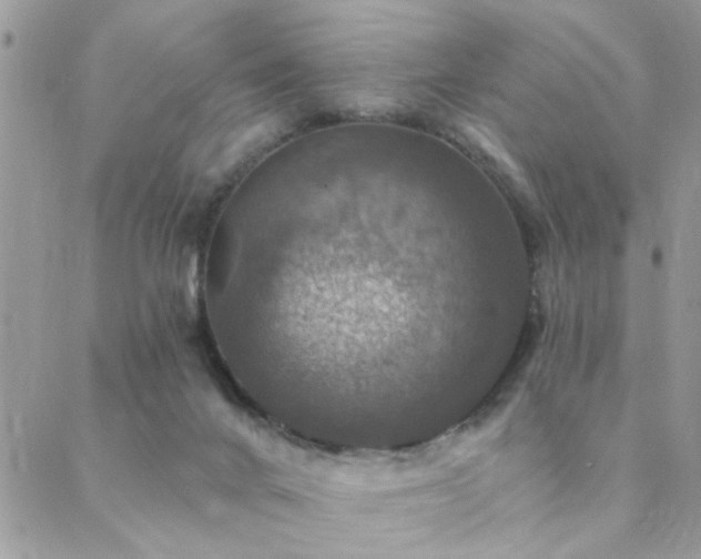 X0000088430024200705221258