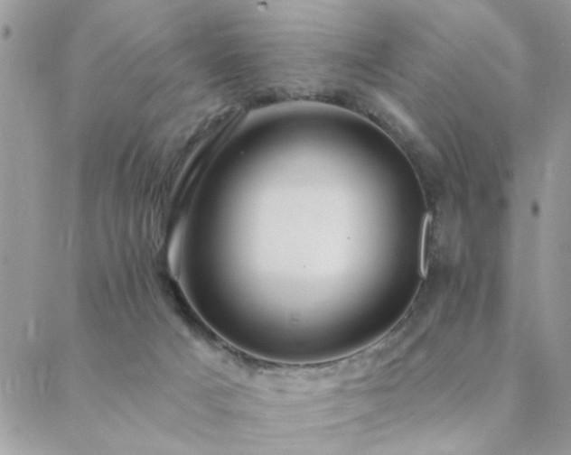 X0000088430025200705221258