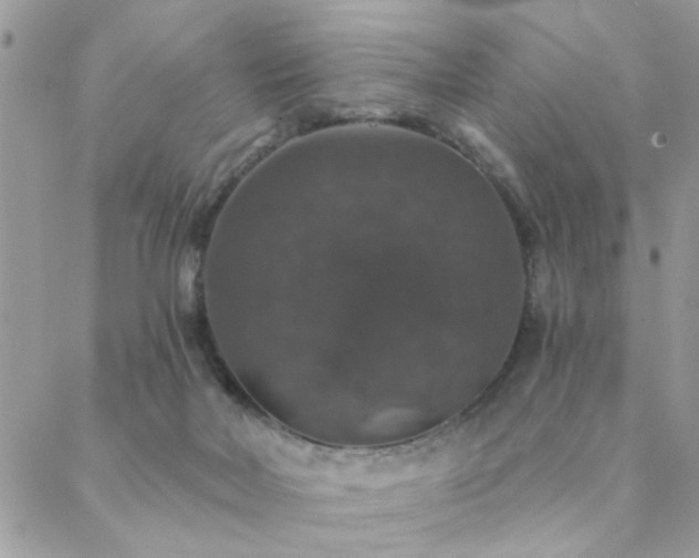 X0000088430026200705221258