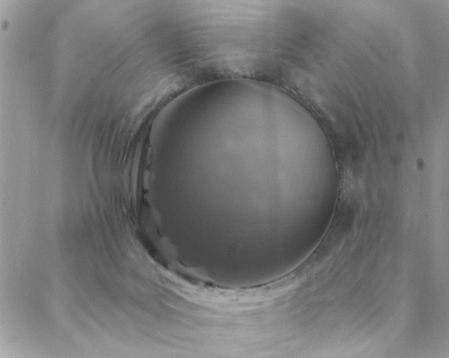 X0000088430027200705221258