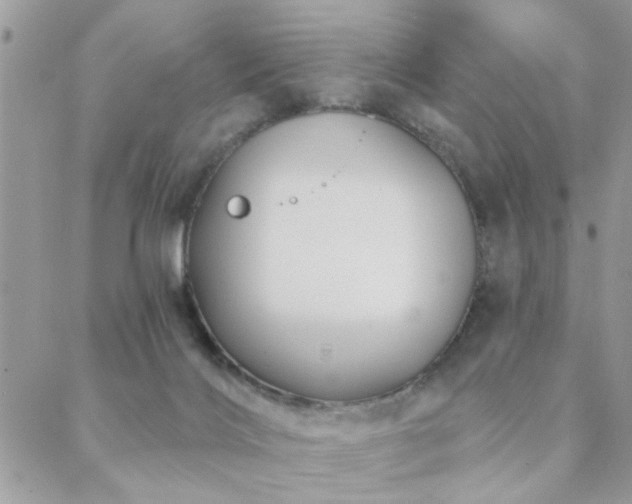 X0000088430028200705221258