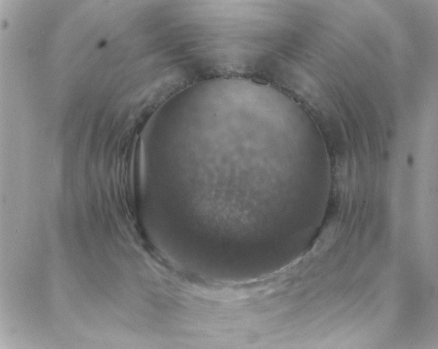 X0000088430029200705221258