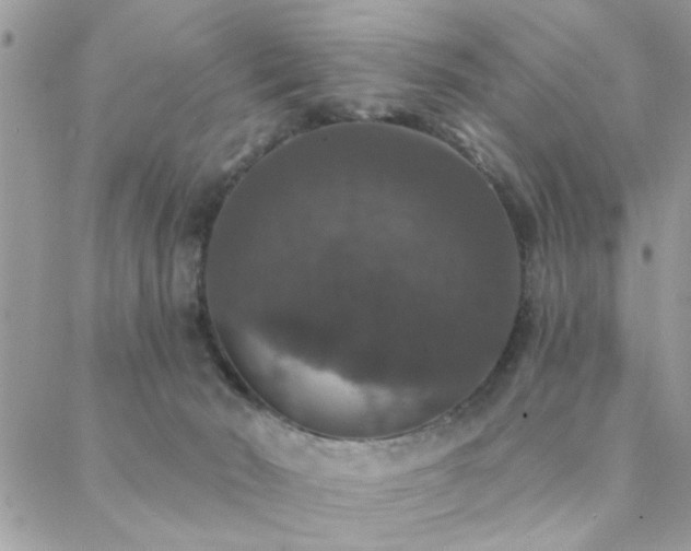 X0000088430030200705221258