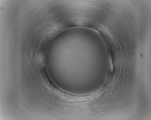 X0000088430031200705221258