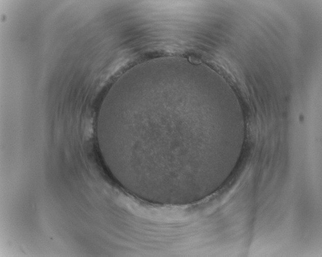 X0000088430032200705221258