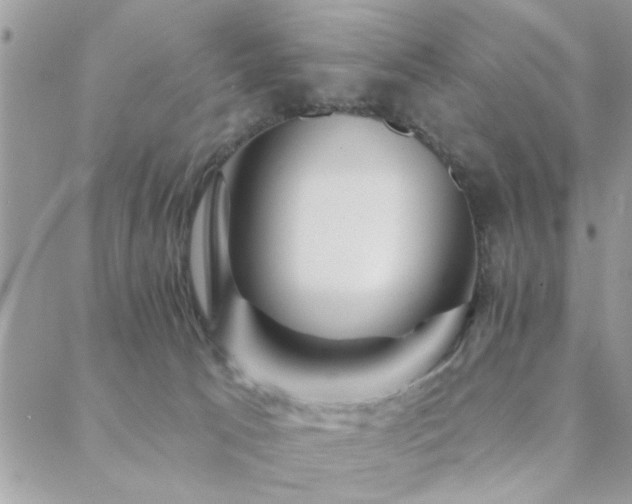 X0000088430033200705221258