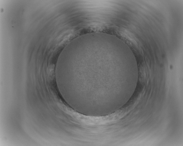 X0000088430034200705221258