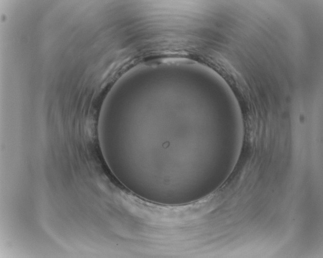 X0000088430035200705221258