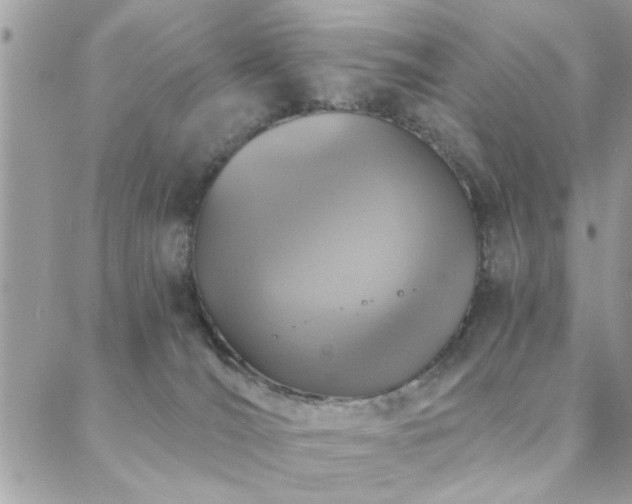 X0000088430036200705221258