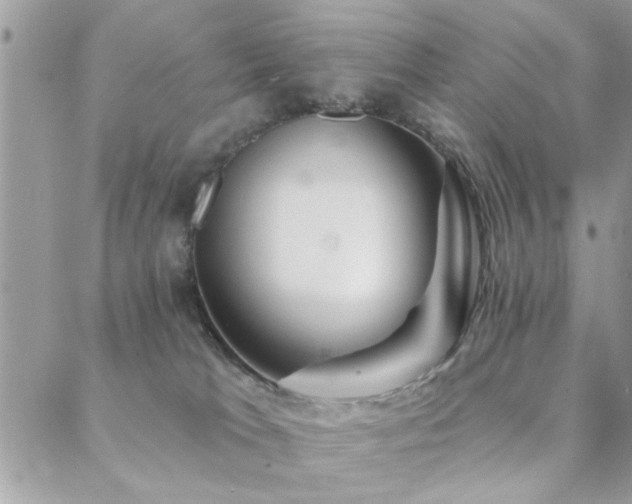 X0000088430037200705221258