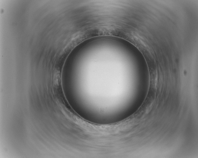 X0000088430038200705221258