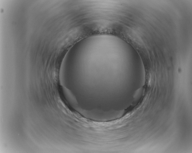 X0000088430039200705221258