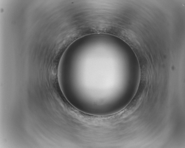 X0000088430040200705221258