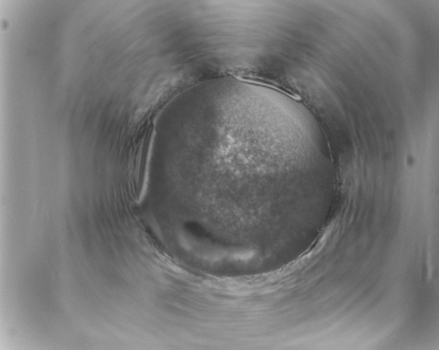 X0000088430041200705221258