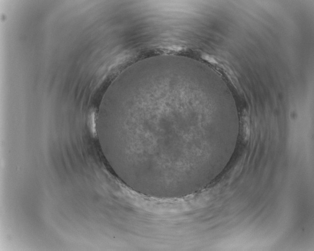 X0000088430042200705221258