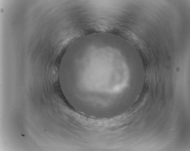 X0000088430043200705221258