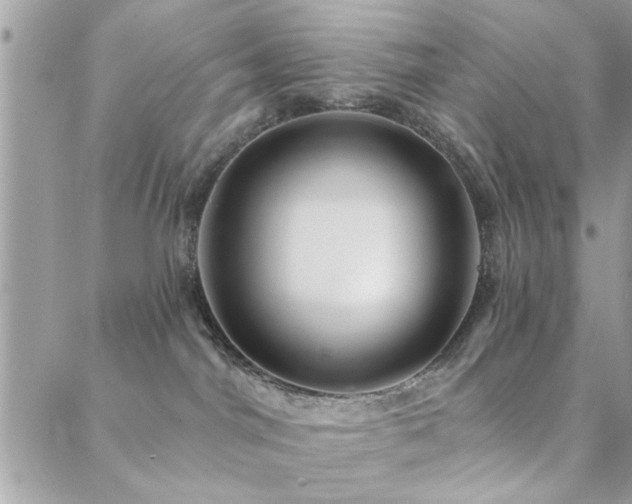 X0000088430044200705221258