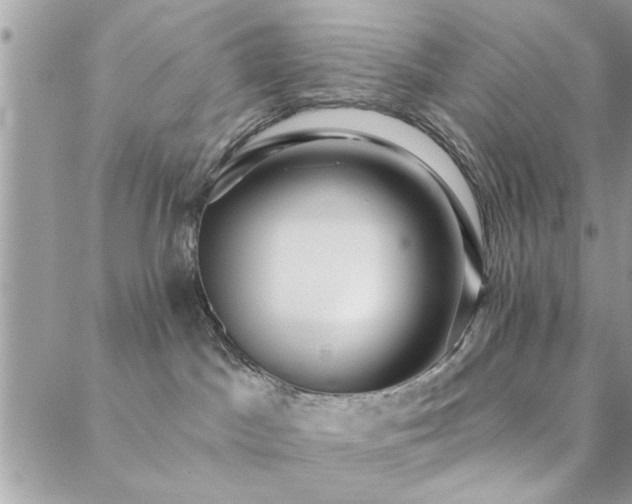 X0000088430045200705221258