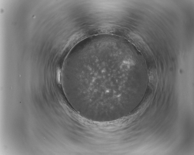 X0000088430046200705221258