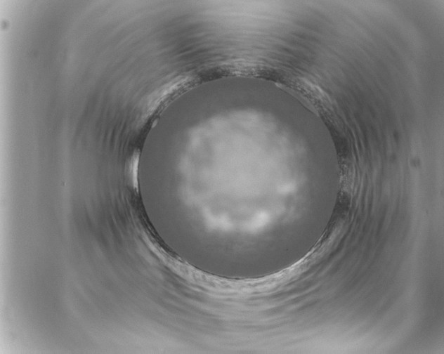 X0000088430047200705221258