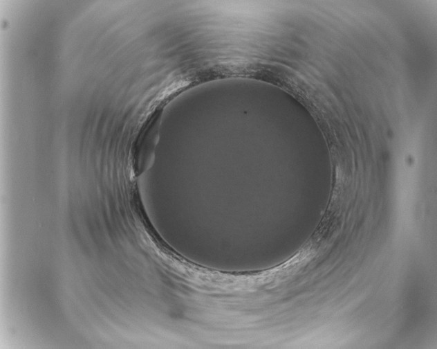 X0000088430048200705221258