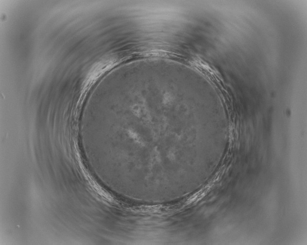 X0000088430049200705221257