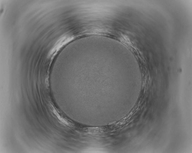 X0000088430050200705221257