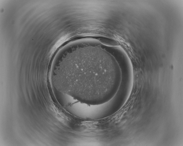 X0000088430051200705221257