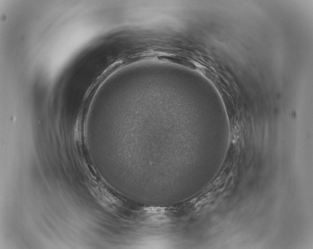 X0000088430052200705221257