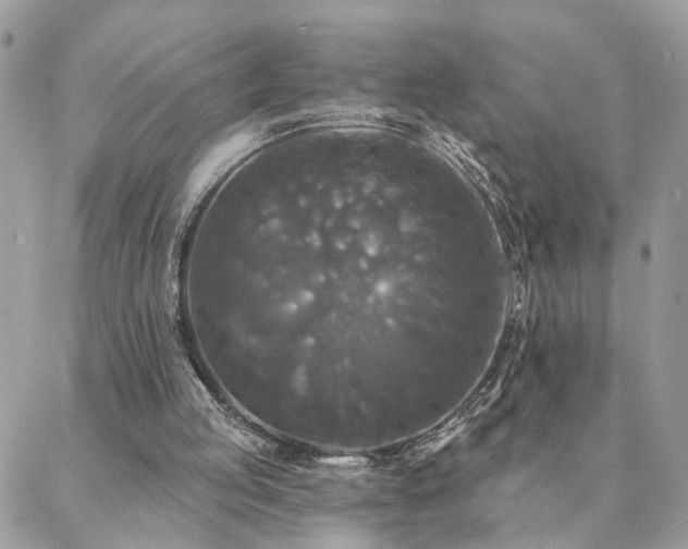 X0000088430053200705221257