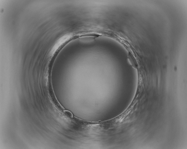 X0000088430054200705221257