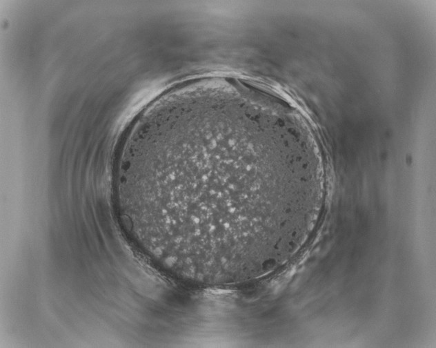 X0000088430055200705221257