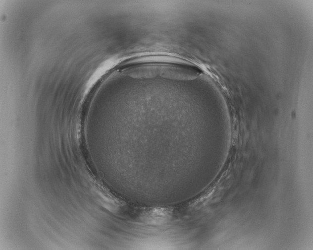 X0000088430056200705221257