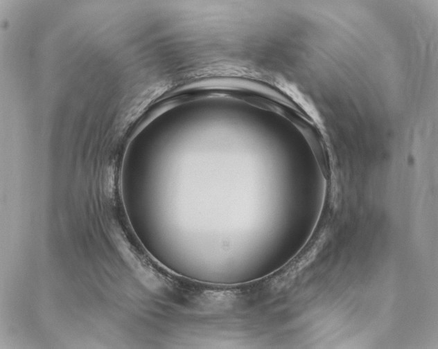 X0000088430057200705221257