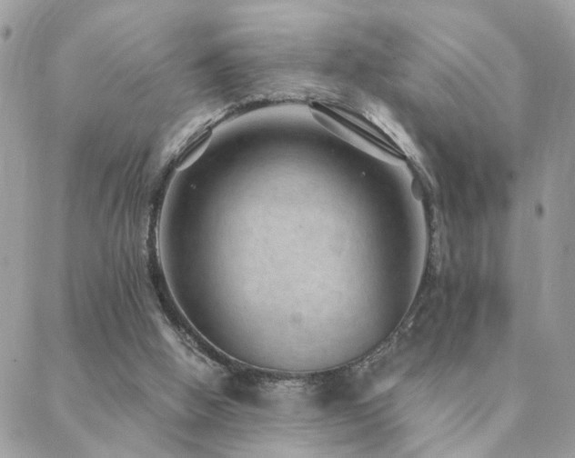 X0000088430058200705221257