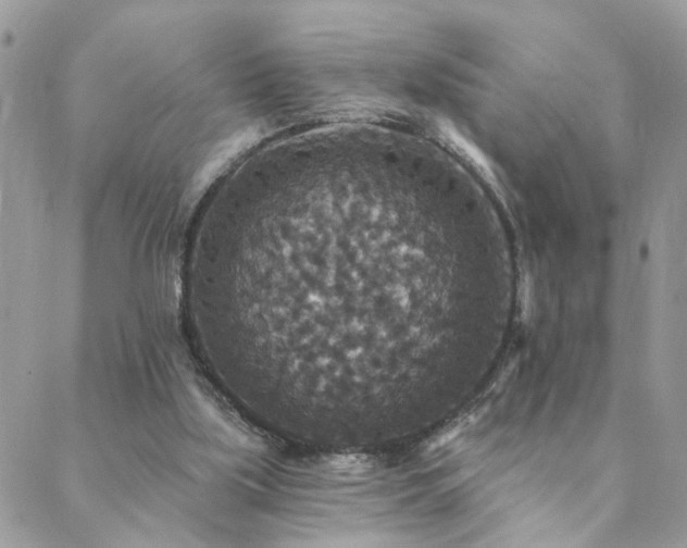 X0000088430059200705221257