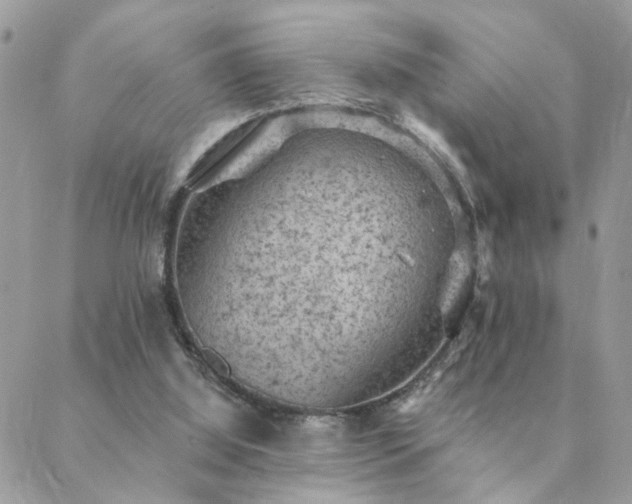 X0000088430060200705221257