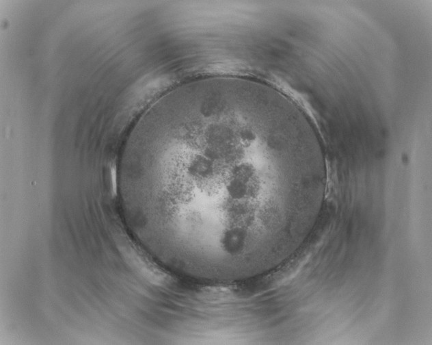 X0000088430061200705221257