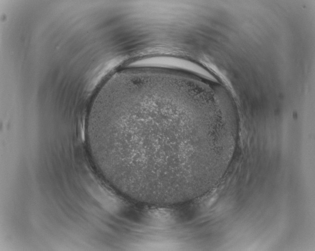 X0000088430062200705221257