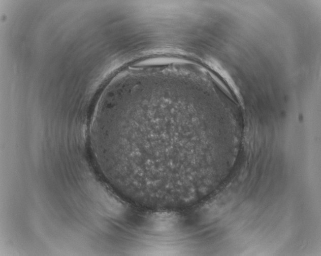 X0000088430063200705221257