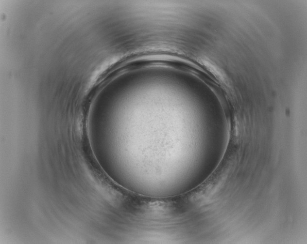 X0000088430064200705221257