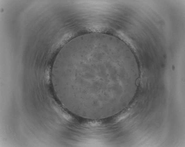 X0000088430065200705221257