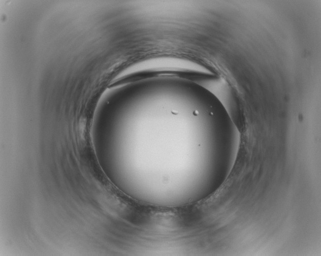 X0000088430066200705221257