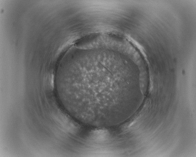 X0000088430067200705221257