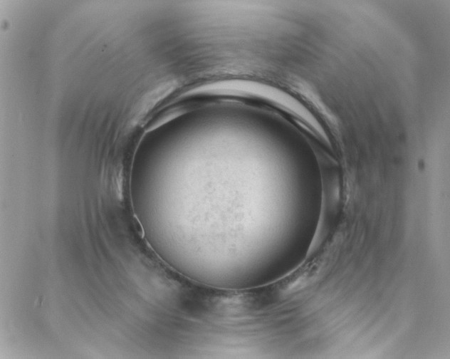 X0000088430068200705221257