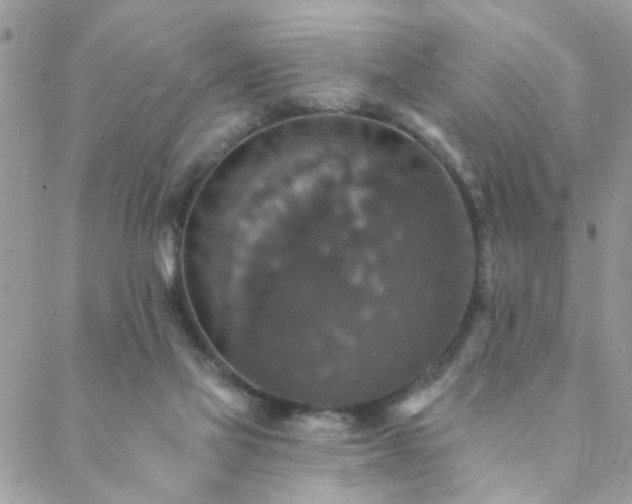 X0000088430069200705221257